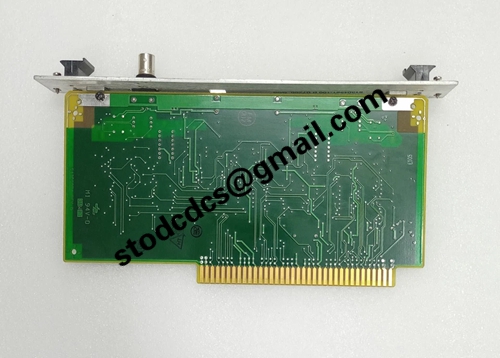 51305072-200.webp (2)