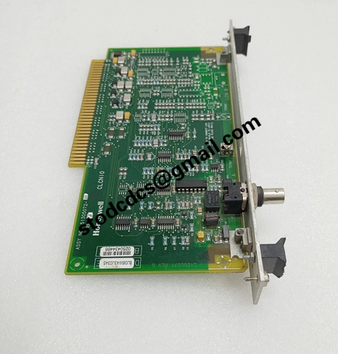 51305072-200.webp (3)